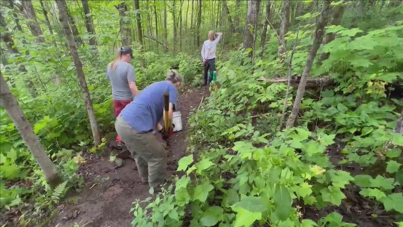 COGGS members maintain a portion of Lester Park trails.