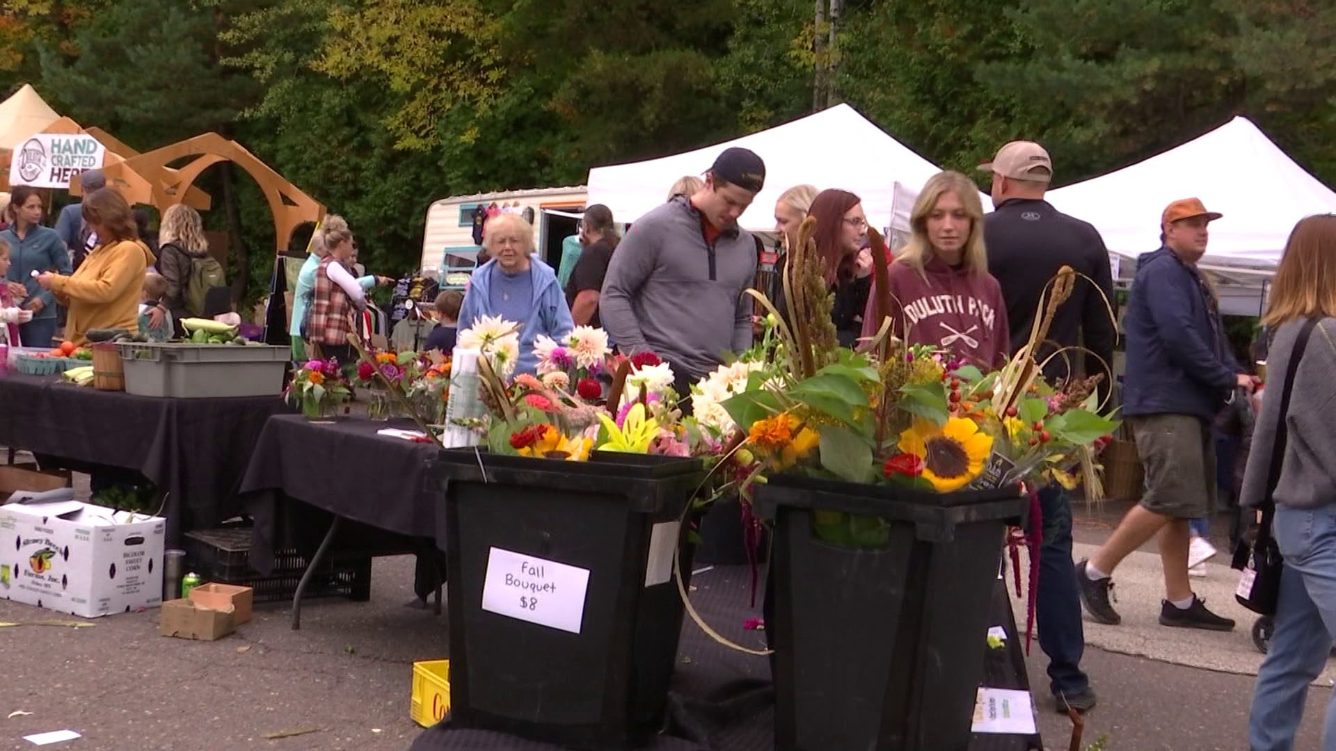 Fall Fest at Chester Bowl (WDIO) People shopping the vendors at Chester Bowl Fall Fest