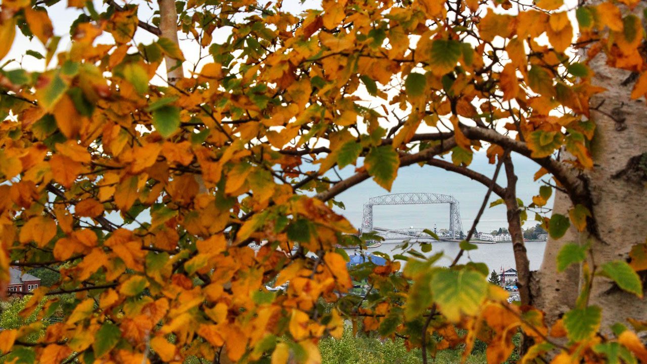 See the Aerial Lift Bridge through fall leaves