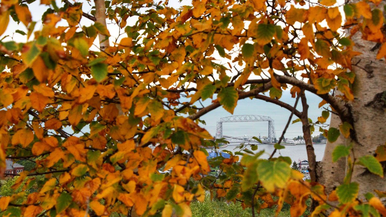 (WDIO) See the Aerial Lift Bridge through fall leaves