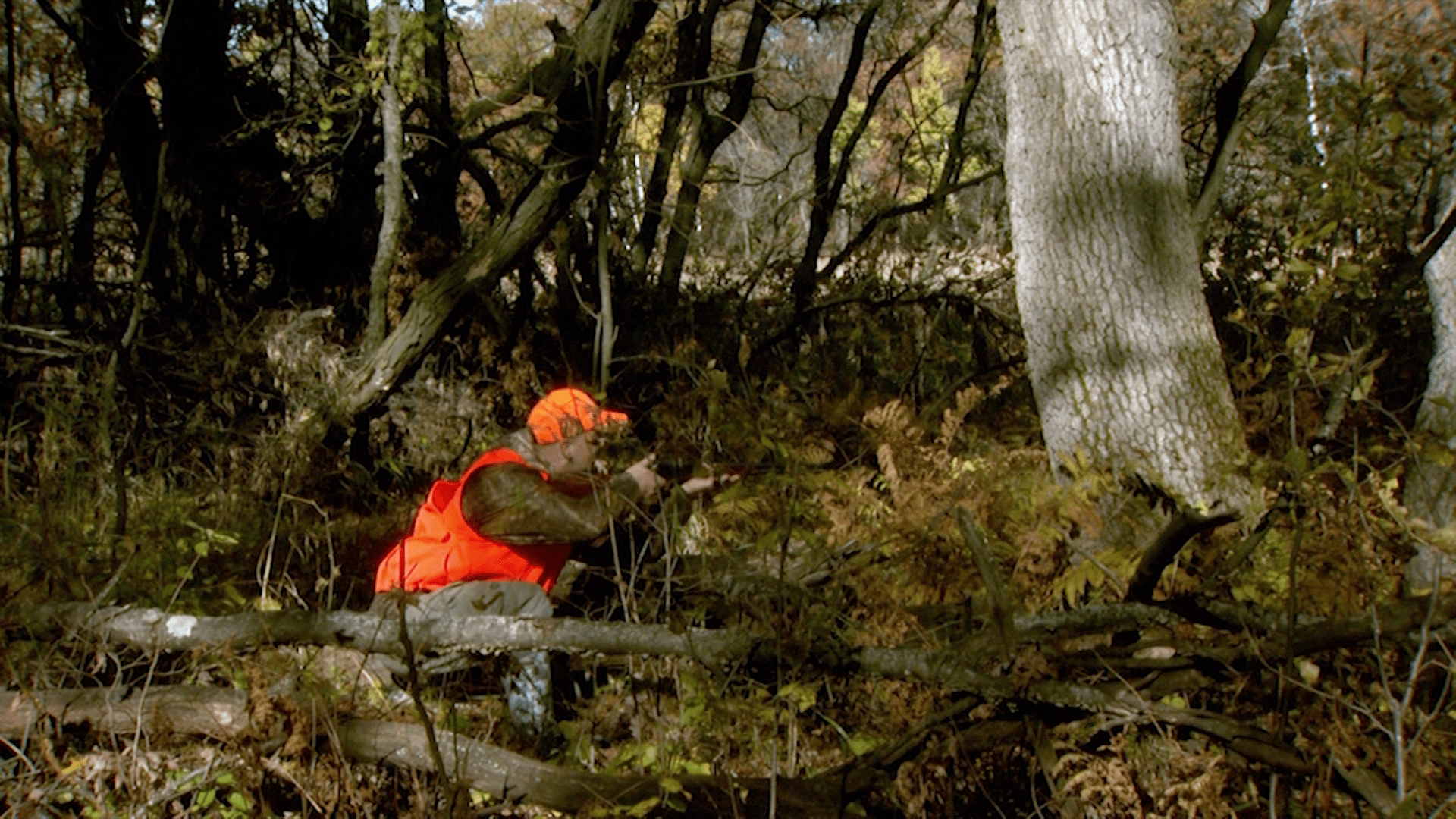 A picture of a man in the woods hunting