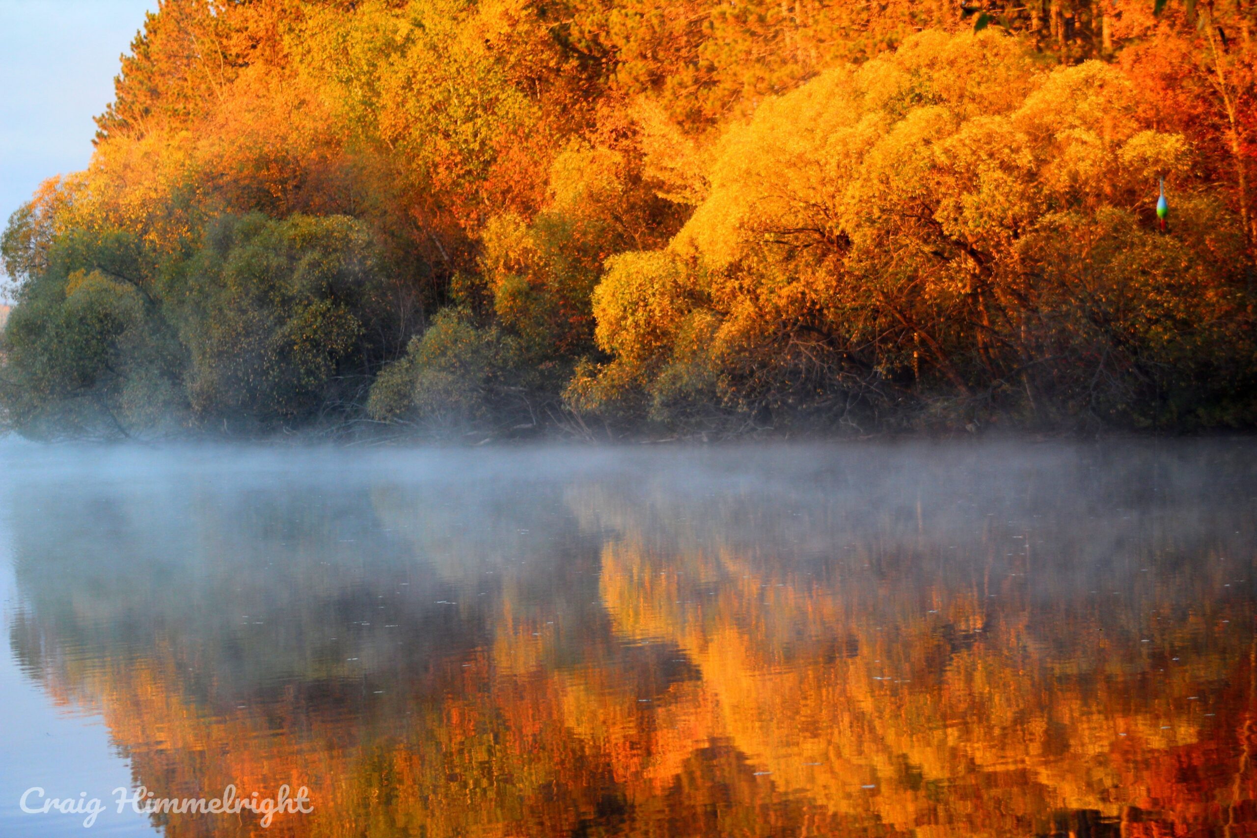 brilliant orange trees reflecting on still water with fog