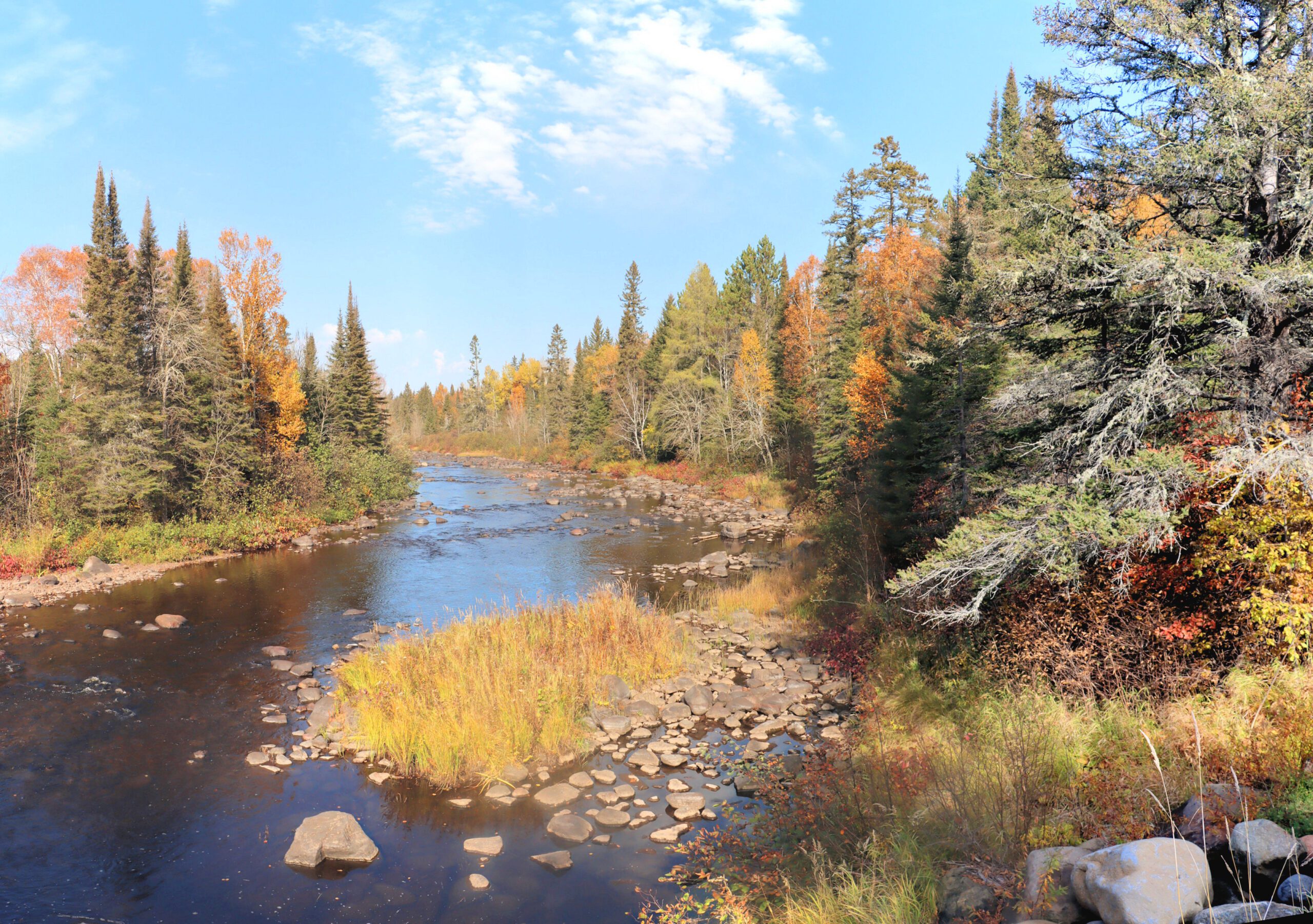 a river winds through the forest with pine and fall colors, rocks