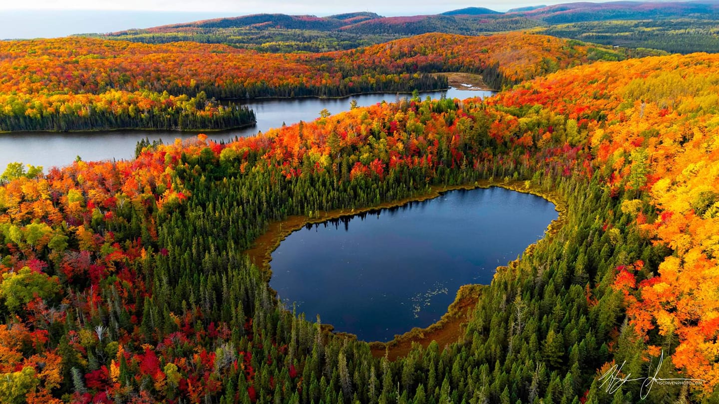 Trees change color around a body of water