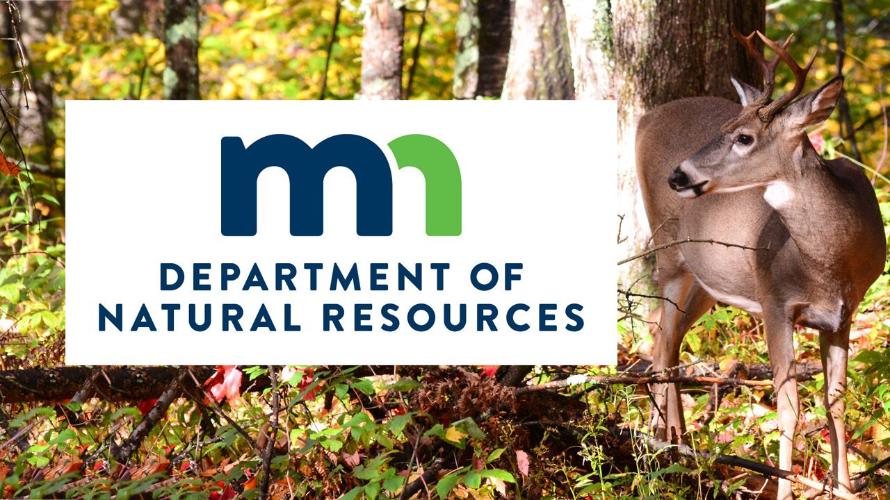 Minnesota DNR logo over picture of a deer