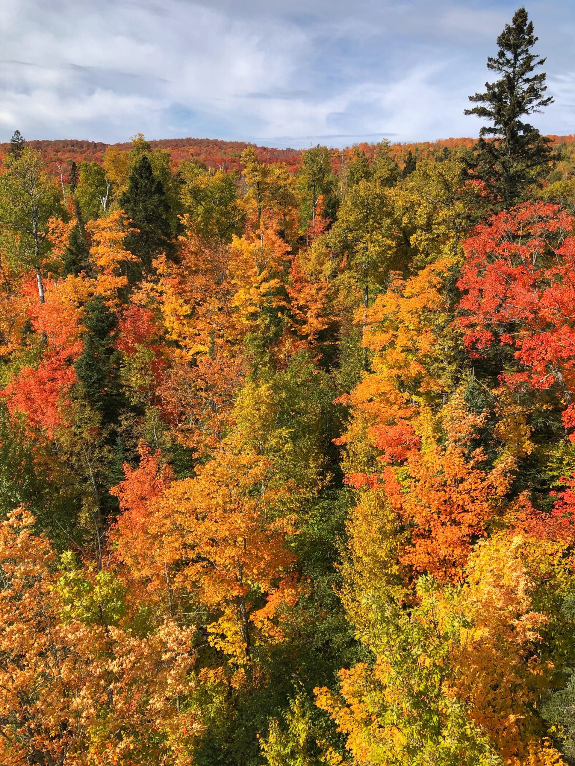 overlook view of fall colors at Lutsen Mountains