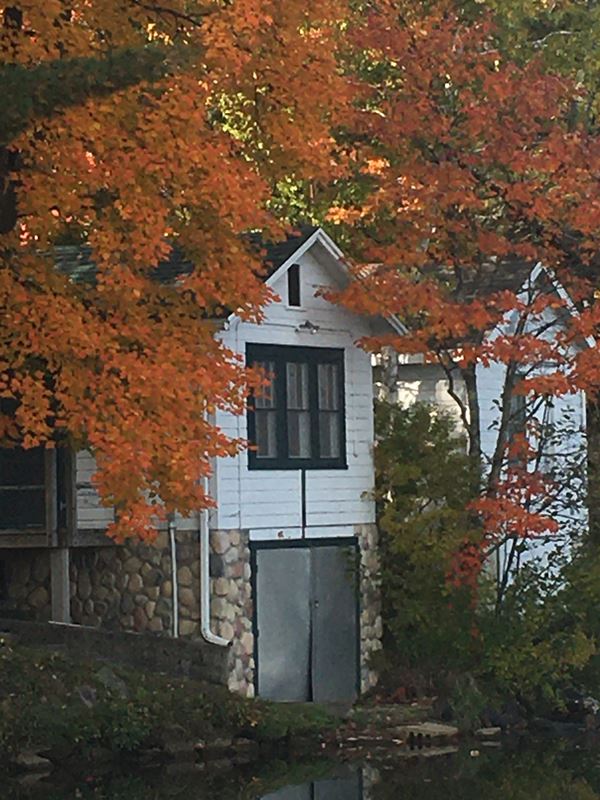 White building surrounded by orange leaves