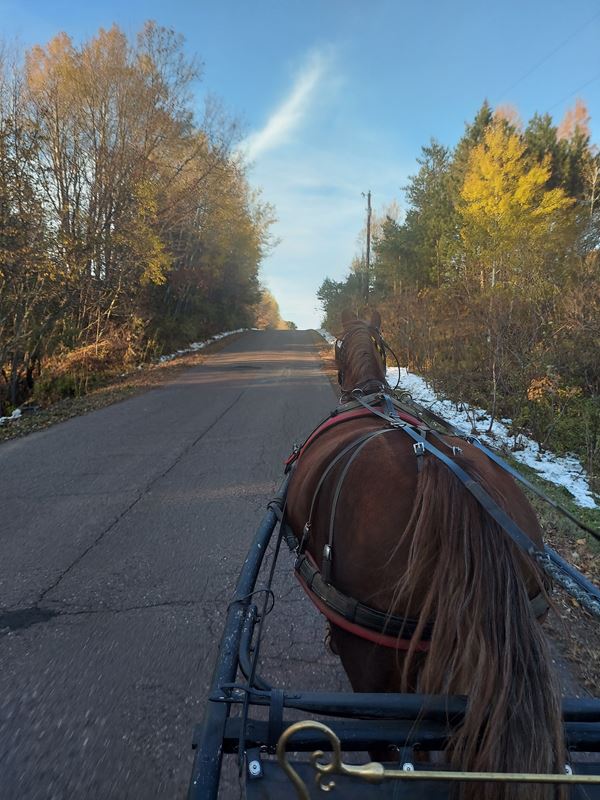 Horse and buggy ride on a mild day in Ironwood, Snow in ditches