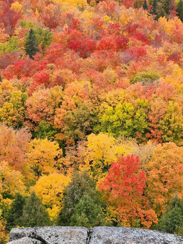 View from a stone overlook, yellow, orange and red trees