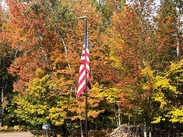 Flag in front of fall trees