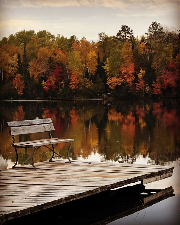 Dock with a bench next to a still lake with fall trees on the other side