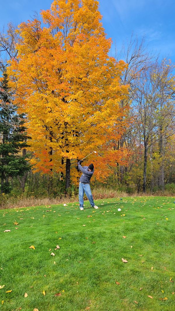 Person golfing on golf course with bright yellow tree behind