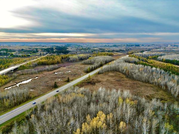 Drone shot of bare trees and a highway. Clouds in the distance