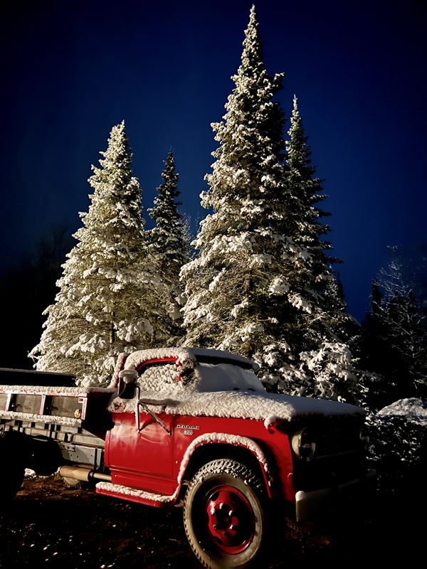 blanket of snow covers pines and a red dump truck in the evening