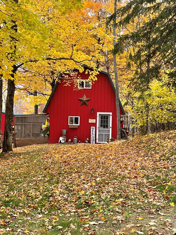 red shed surrounded by fall colors and leaves