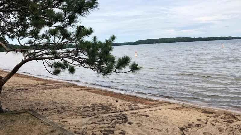 WDIO's Summer of State Parks starts in Side Lake at McCarthy Beach State Park, a great spot for families to spend a day or a week. 