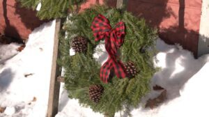 A fresh wreath has a red plaid ribbon and three pinecones
