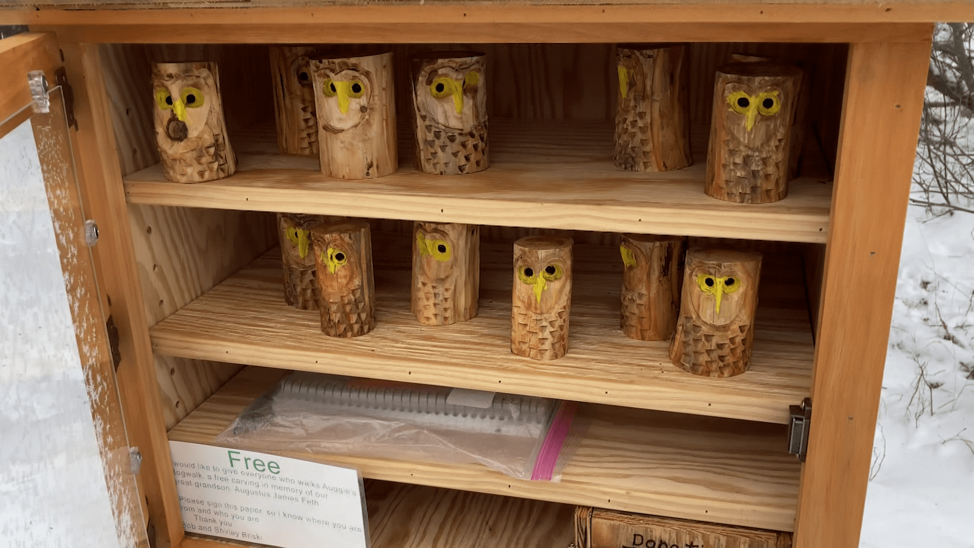 Auggie’s owls are now helping young people advance their education