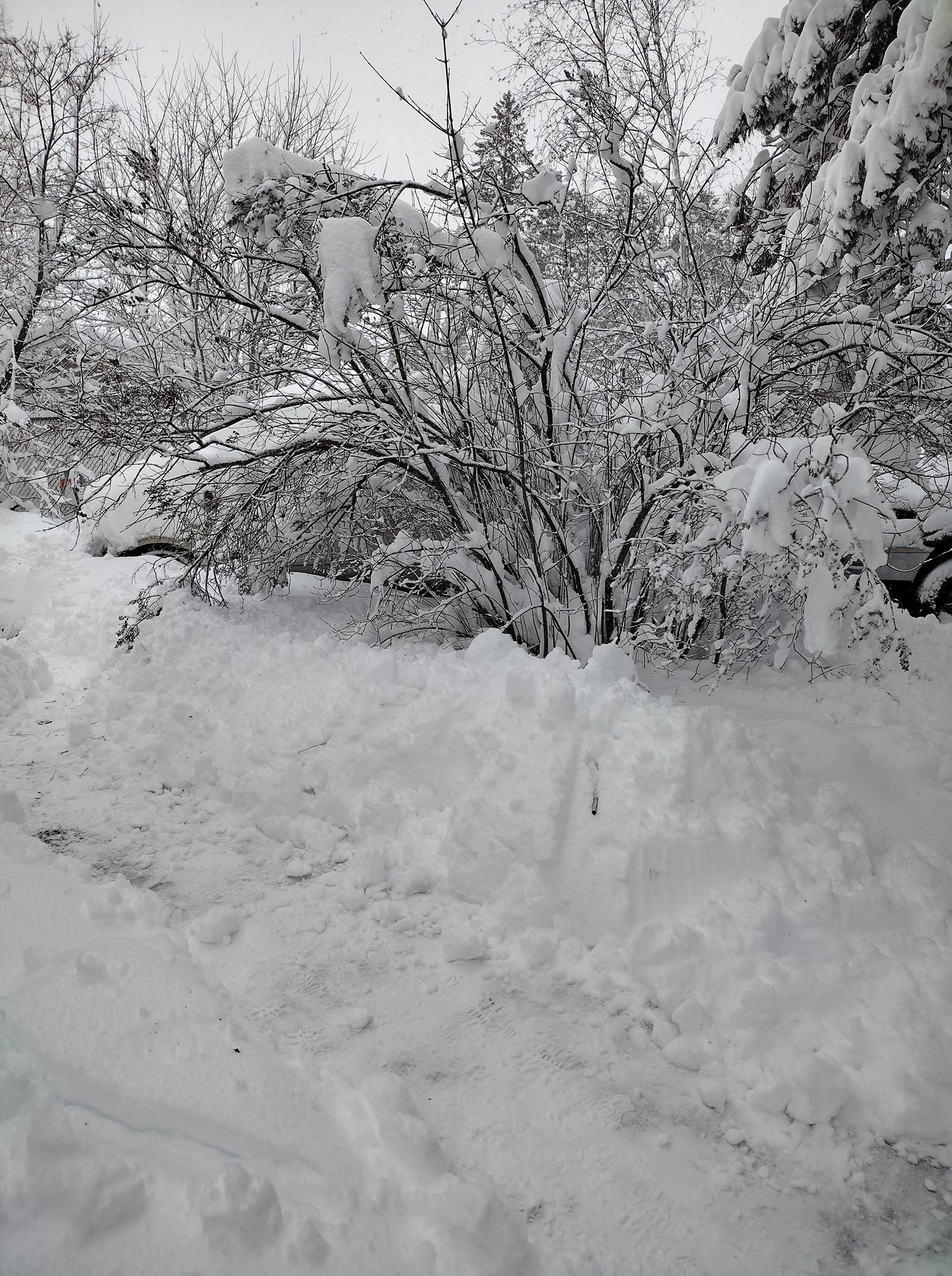 Skylar Pendzimas Snow in Calumet