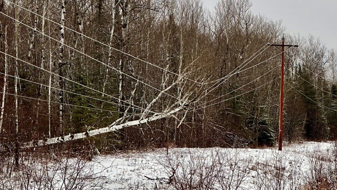 December storm caused major power outages across the Northland (Minnesota Power) A tree laying on a power line