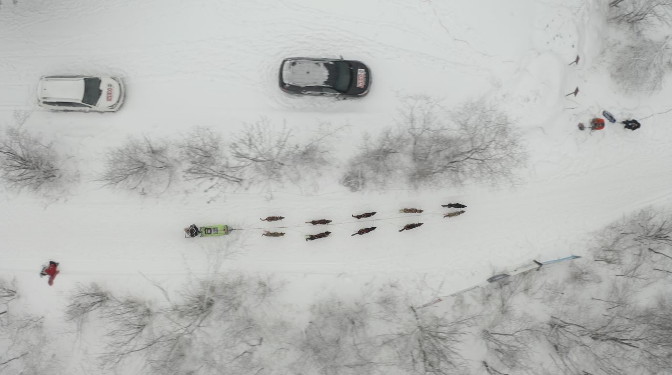 A Beargrease Sled Dog Marathon team begins the race