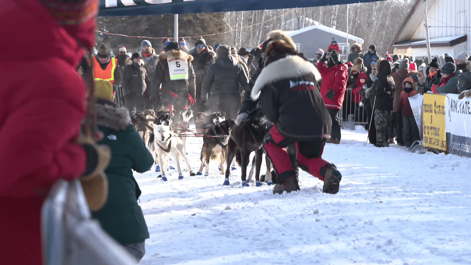 Musher bib 5 with his team at the start.