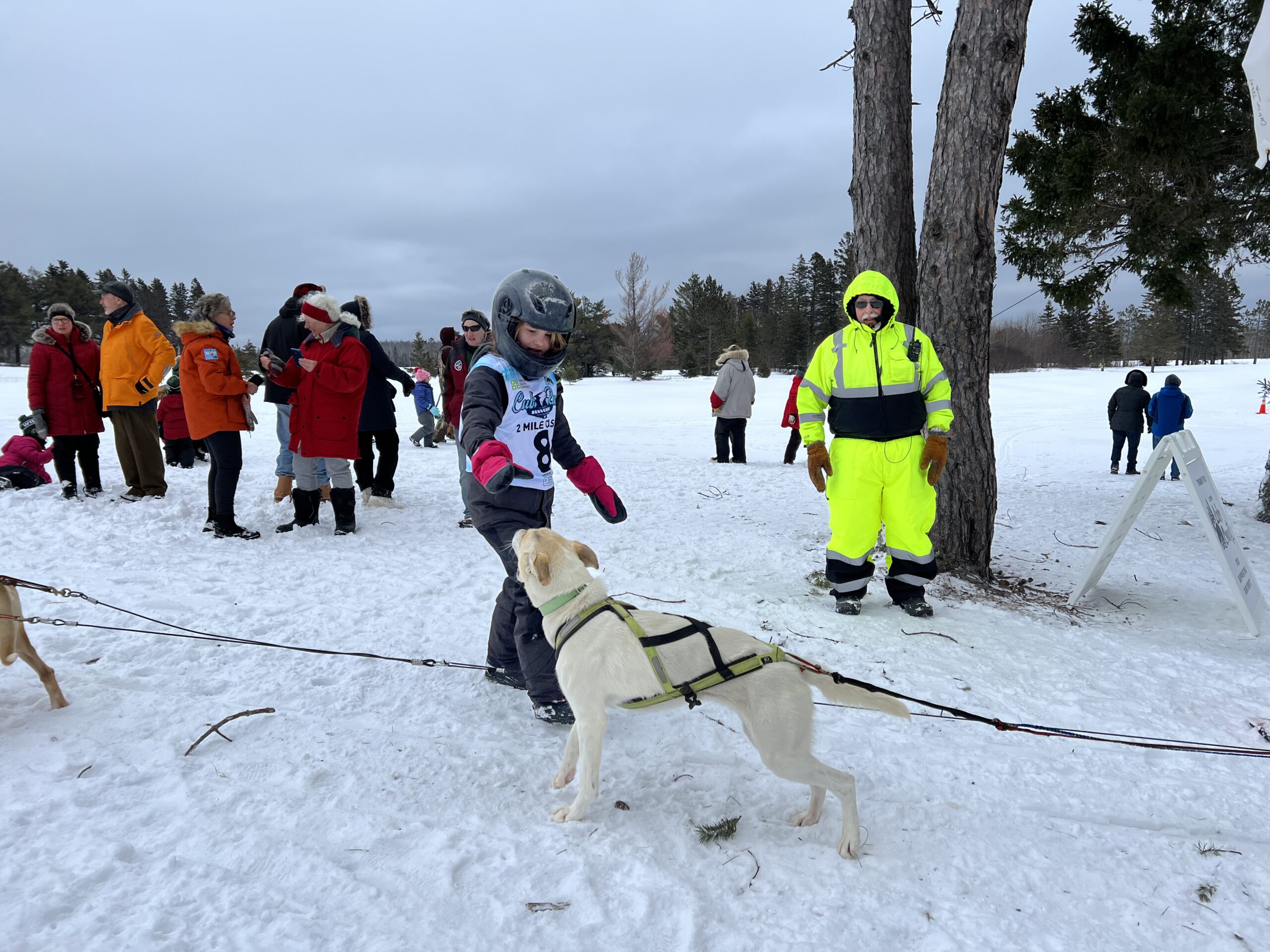Up North: the next generation of mushers