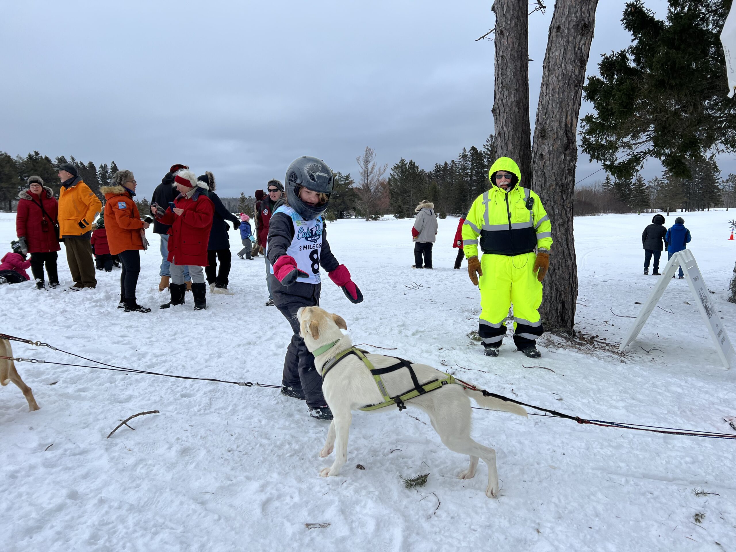 photo of musher encouraging dog