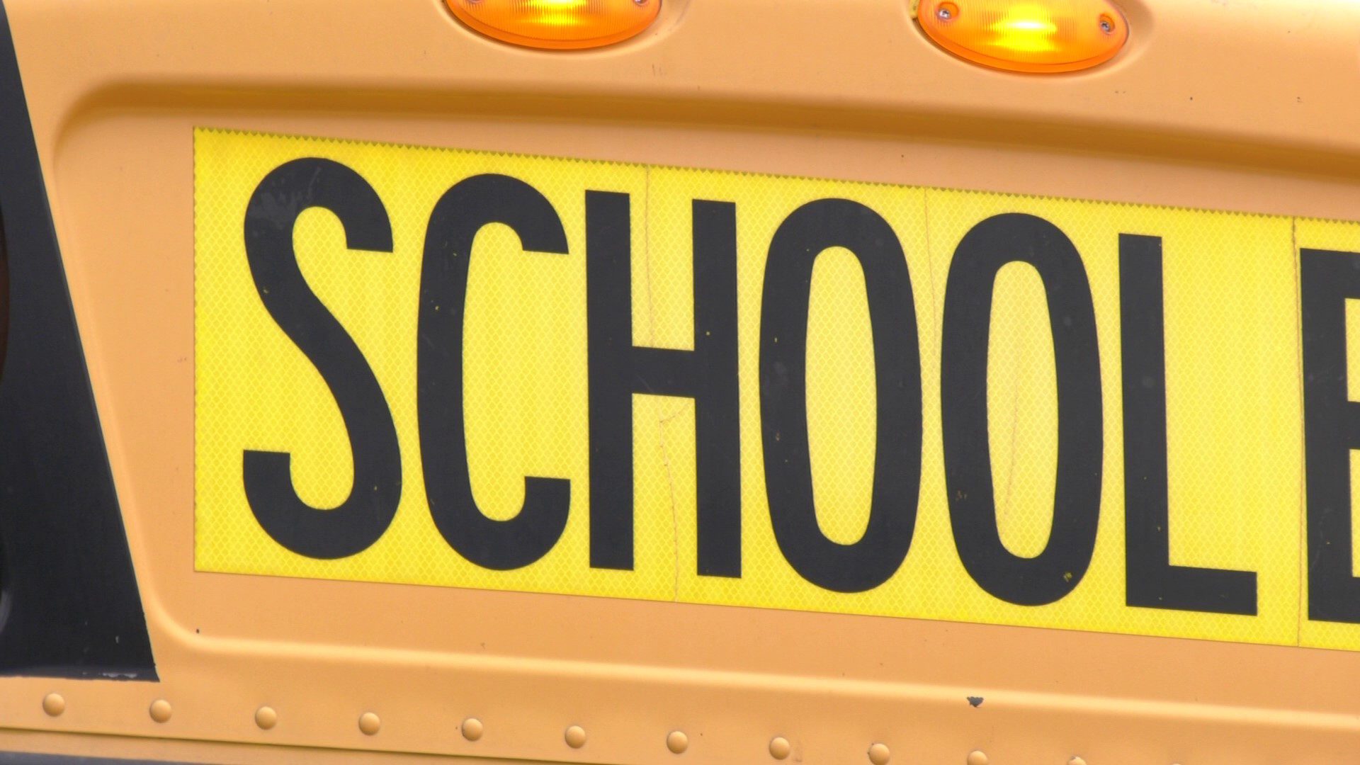 A "School Bus" sign on a bus