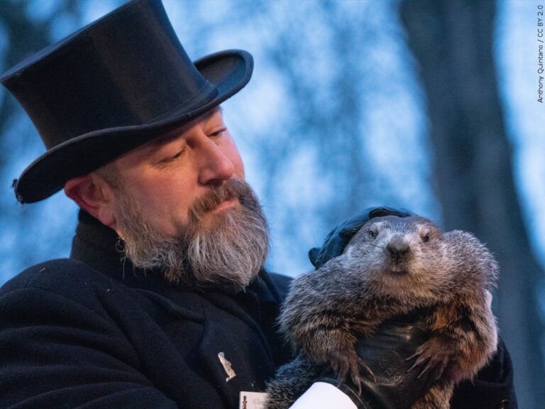 Punxsutawney Phil sees his shadow on Groundhog Day 2023