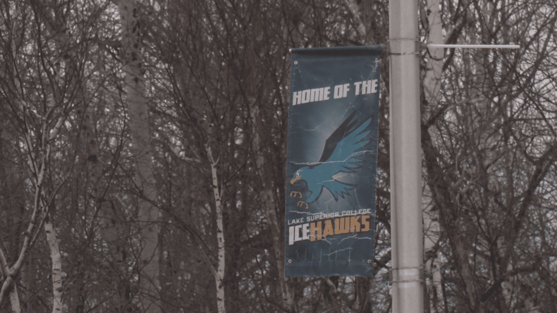 Lake Superior College, "Home of the Ice Hawks" light pole banner.