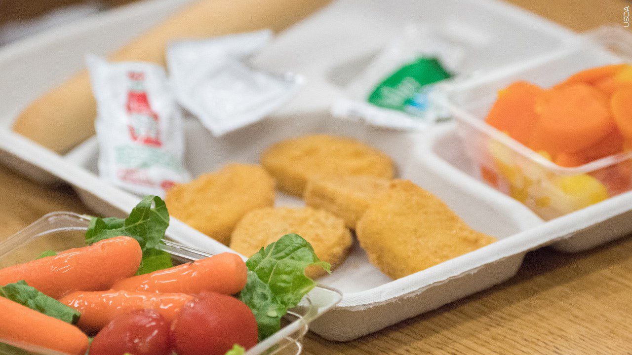 A school lunch of nuggets and carrots.