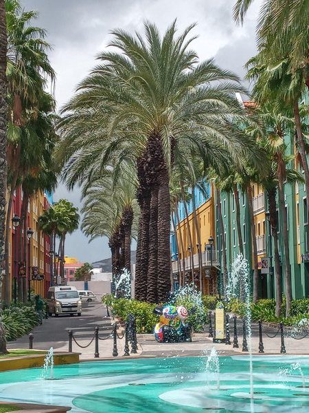Large palm trees down the center of a road with colorful stores on each side, fountain in foreground.