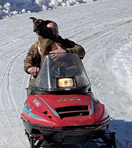 Man drives a red snowmobile on trail, with a dog sitting on his lap.