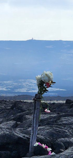 Way in the distance is a plume of smoke on the island of Hawaii. Flowers in the forefront.
