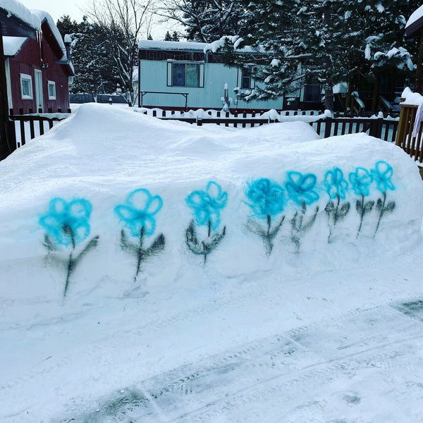 Blue spraypainted flowers in a row on a tall snowbank.
