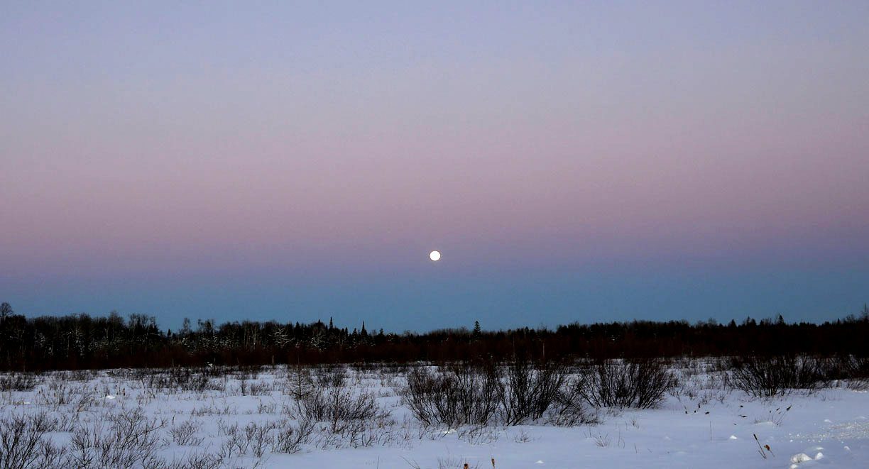 A full moon in January 2023
