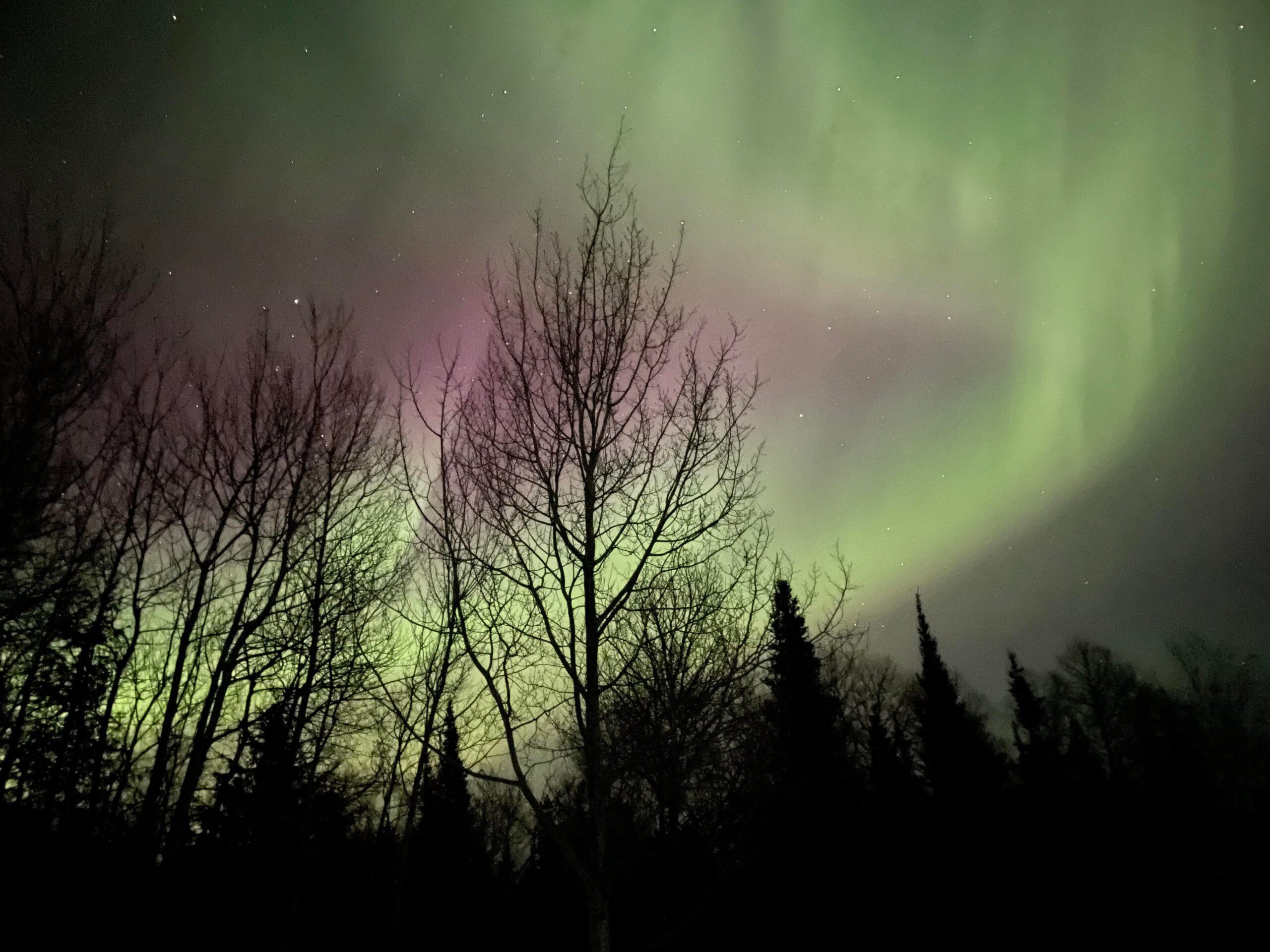Travis Smith - Northern Lights up the the Gunflint April 24