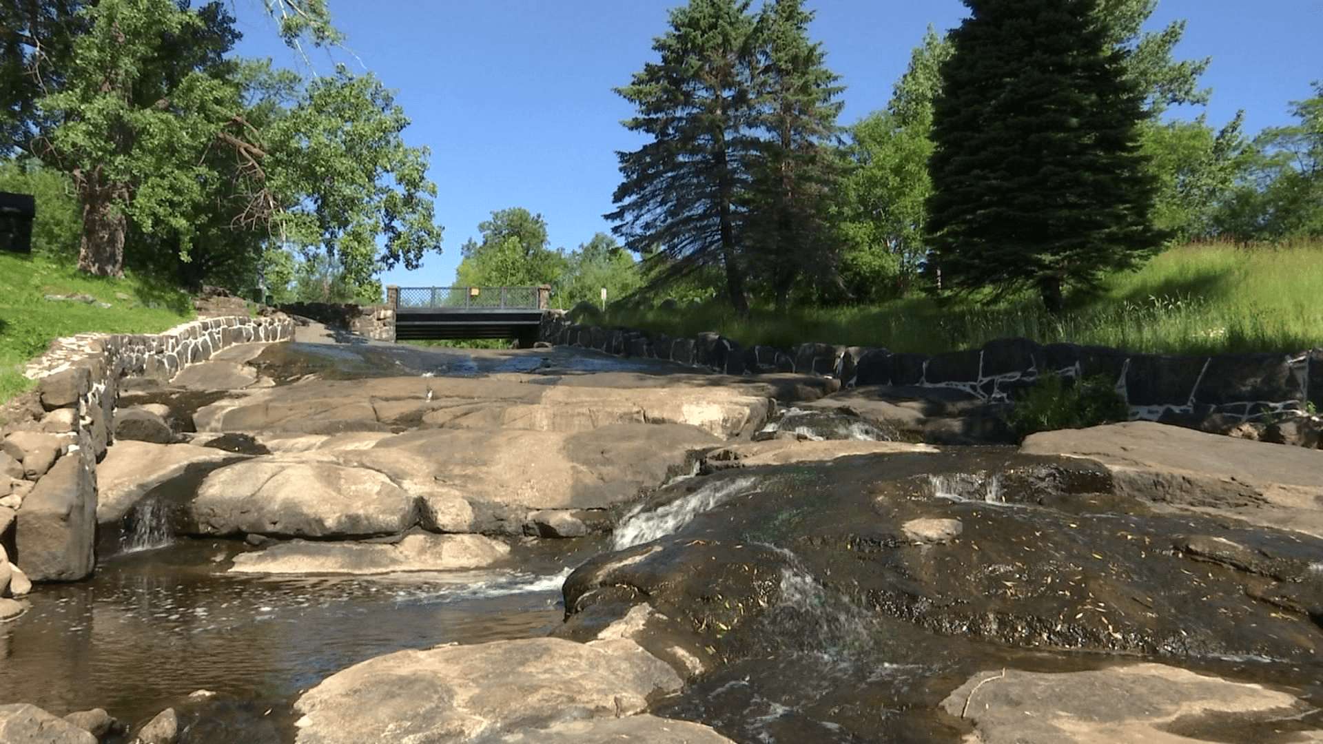 The creek in the Lincoln Park Area.