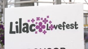 A Lilac Lovefest poster