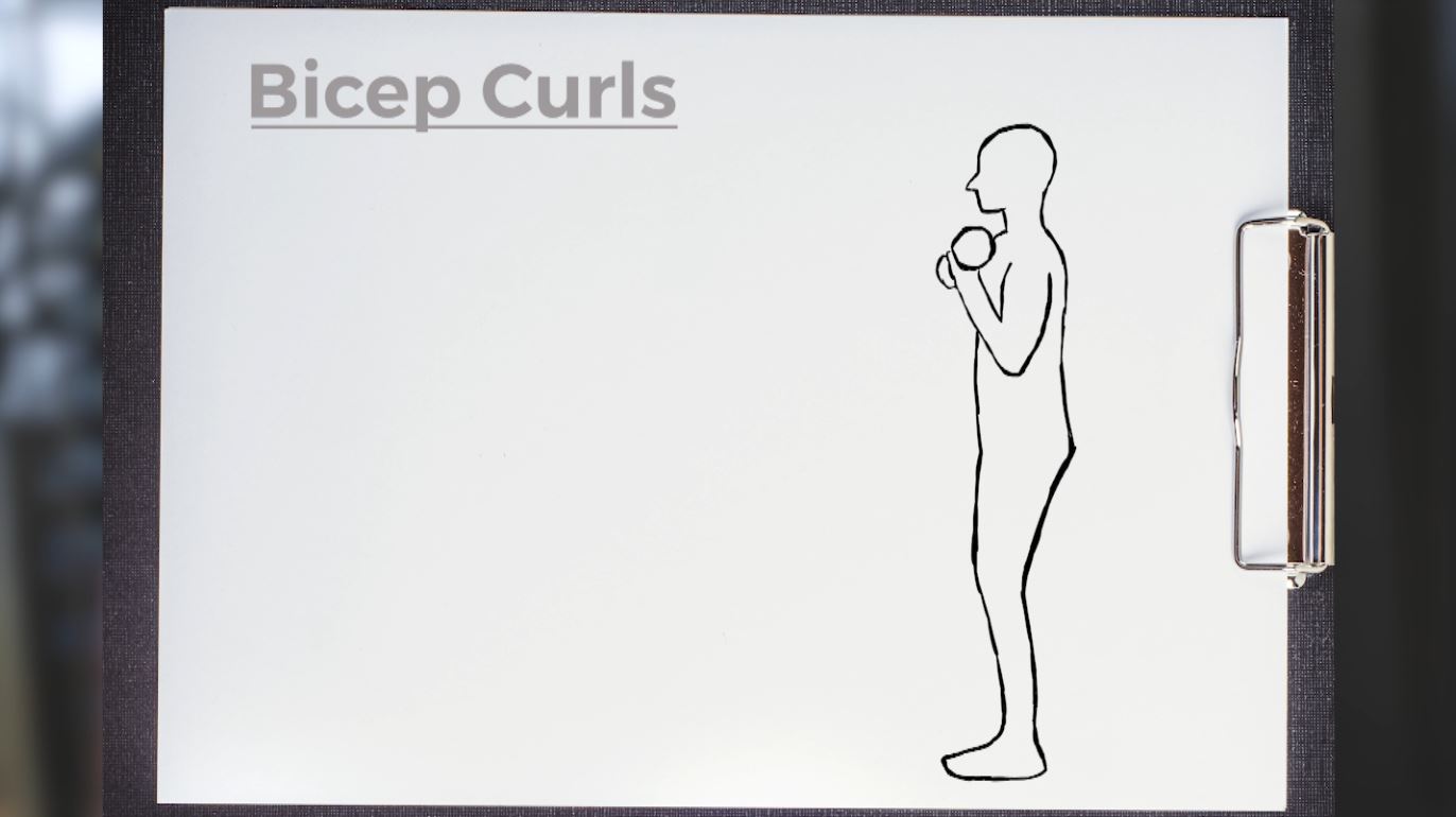 A sketch of a person doing a bicep curl