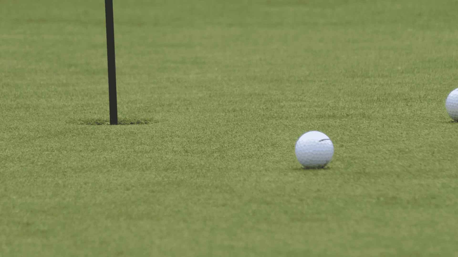 A golf ball at Enger Golf Course