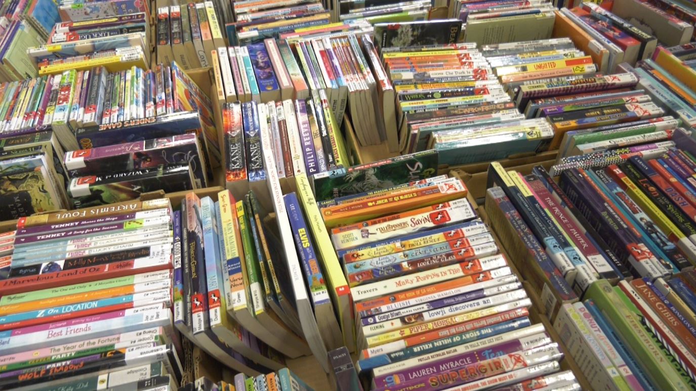 Boxes of books at the annual Friends of the Duluth Public Library Book Sale