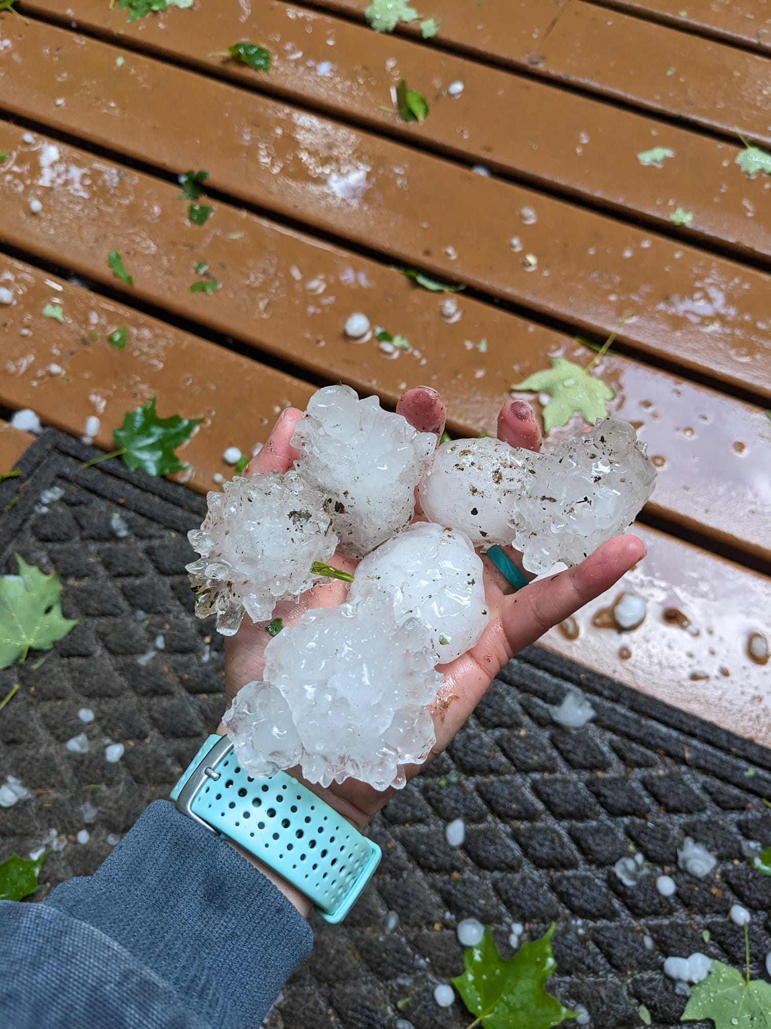 Alanna Sine Hail east of Bowstring and Marcell1