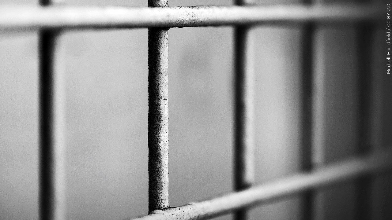 Jail bars