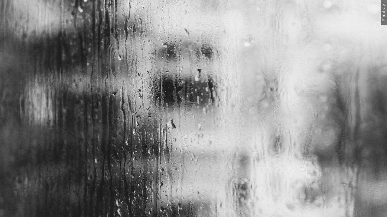 Rain on a window
