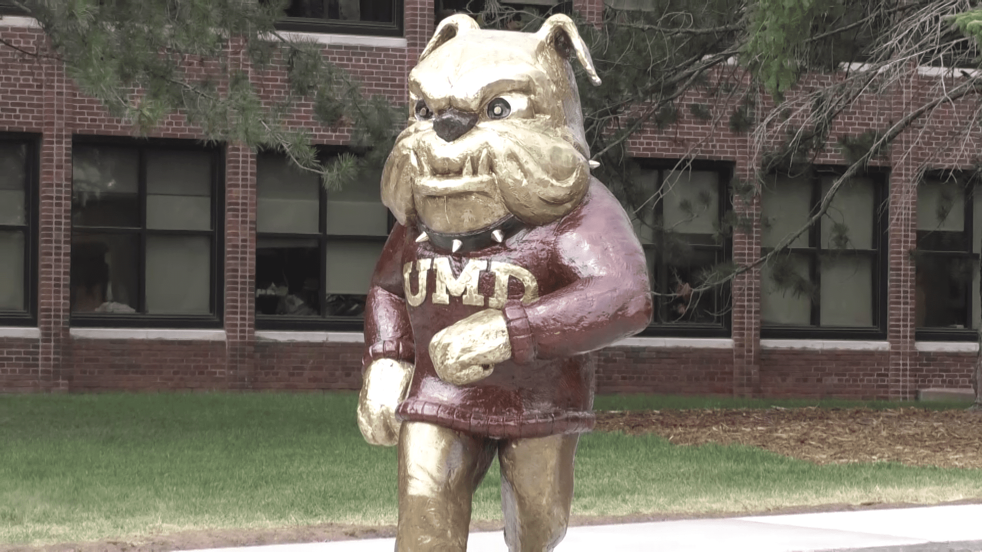 UMD's new bronze Champ the Bulldog statute