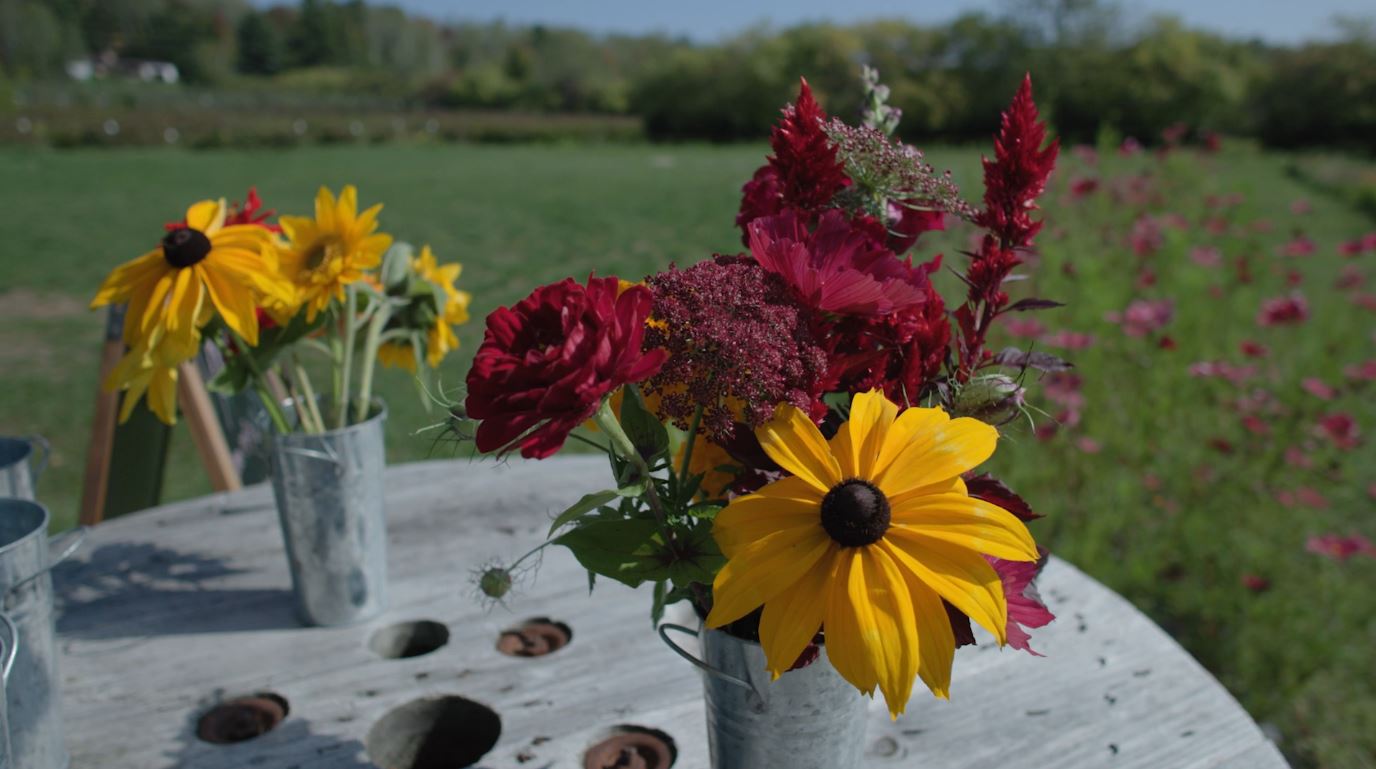 A fresh-picked bouquet from Bayfield Blooms
