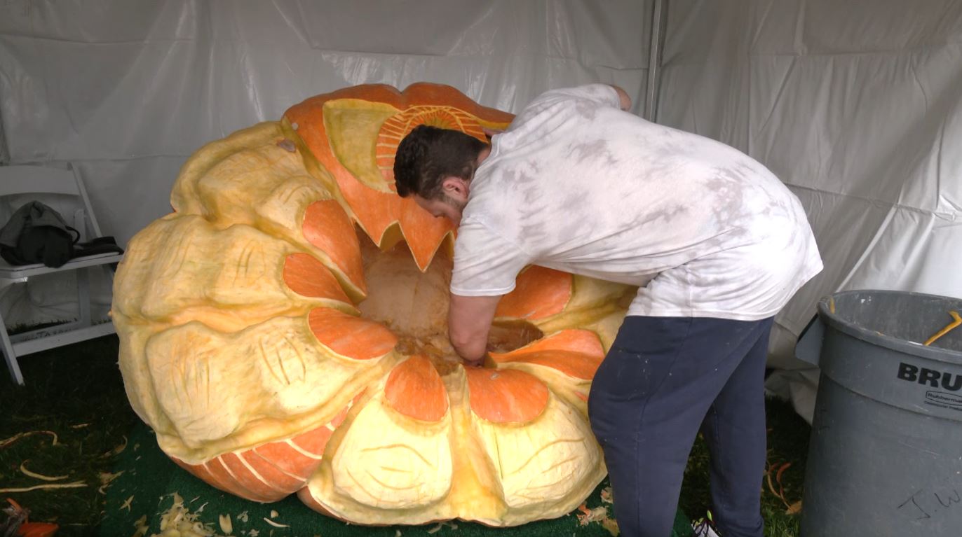 Mike Rudolph carves a giant pumpkin