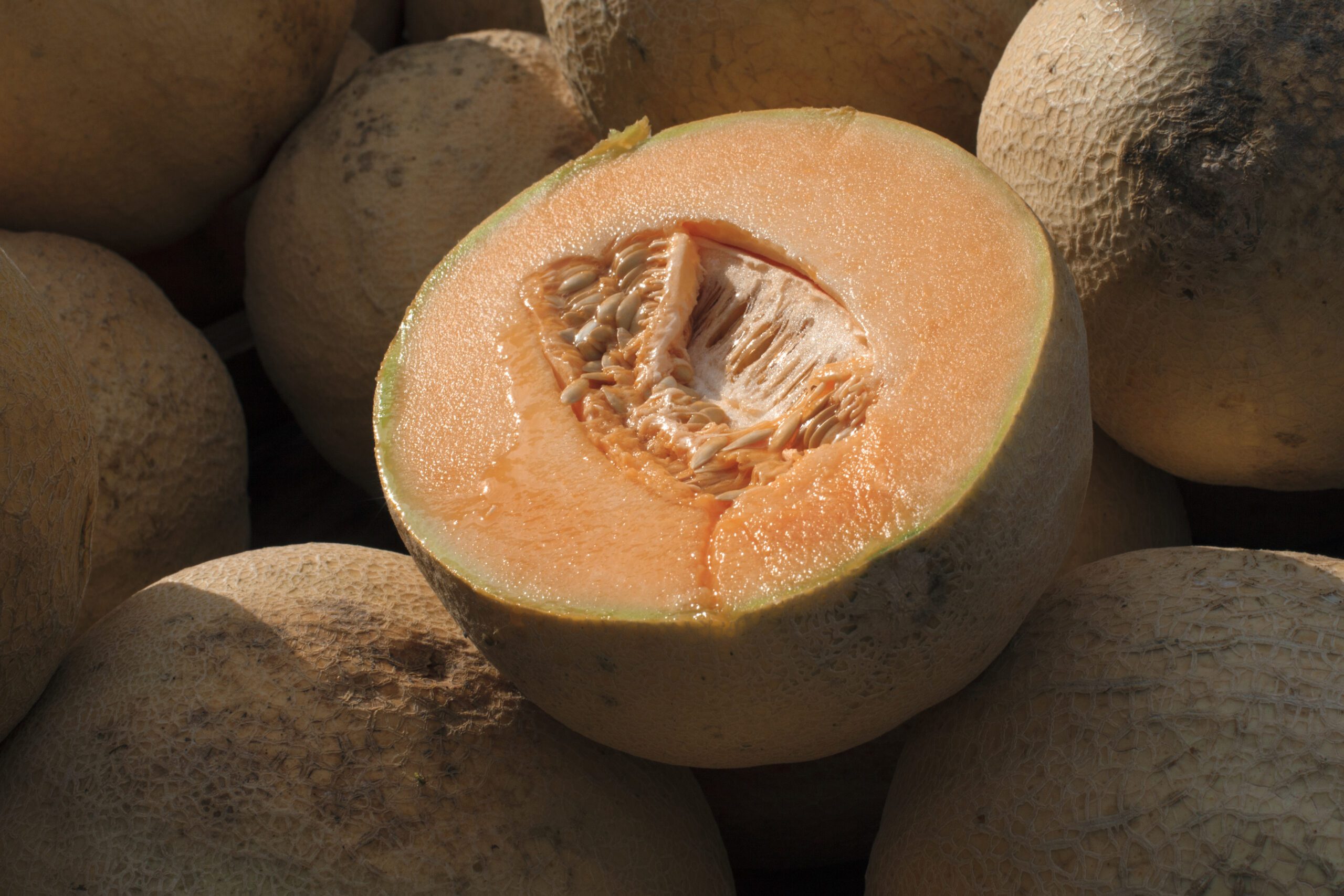 A cut cantaloupe